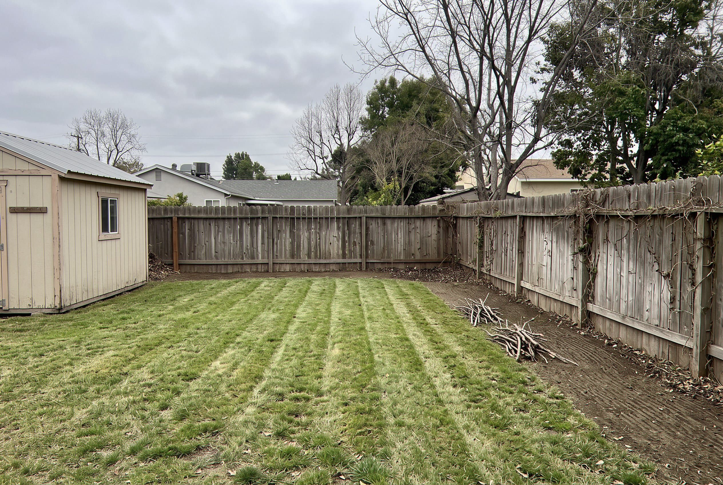 Cleared yard after brush and branch removal